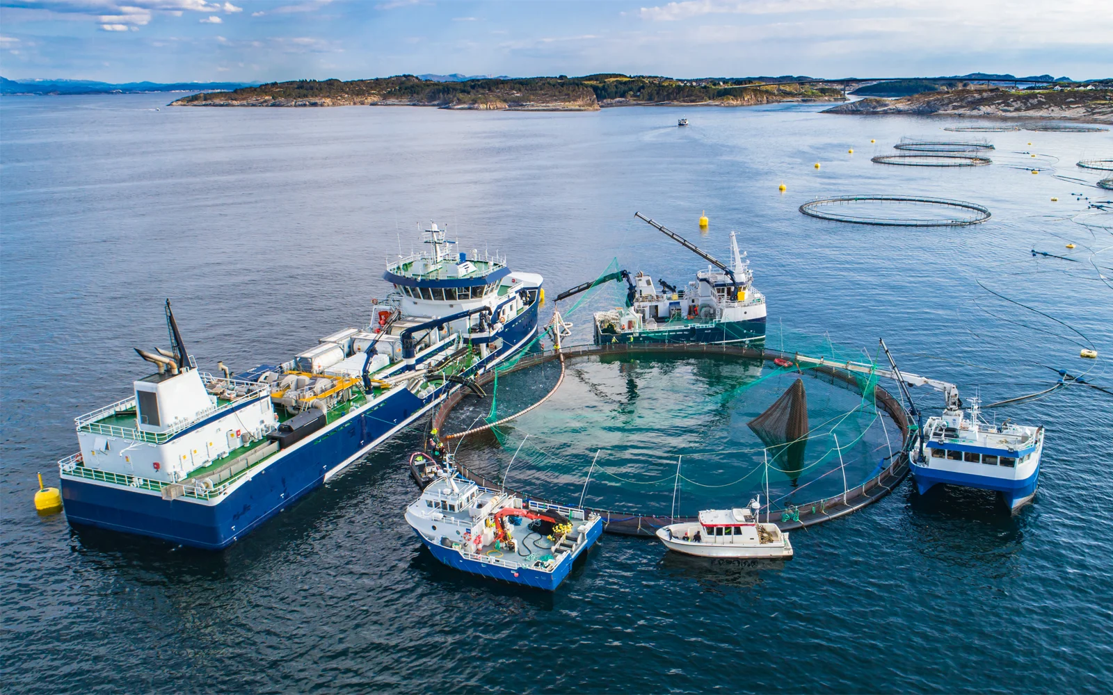 Fisheries Teknotherm