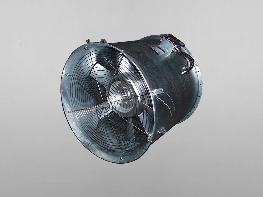 Fan